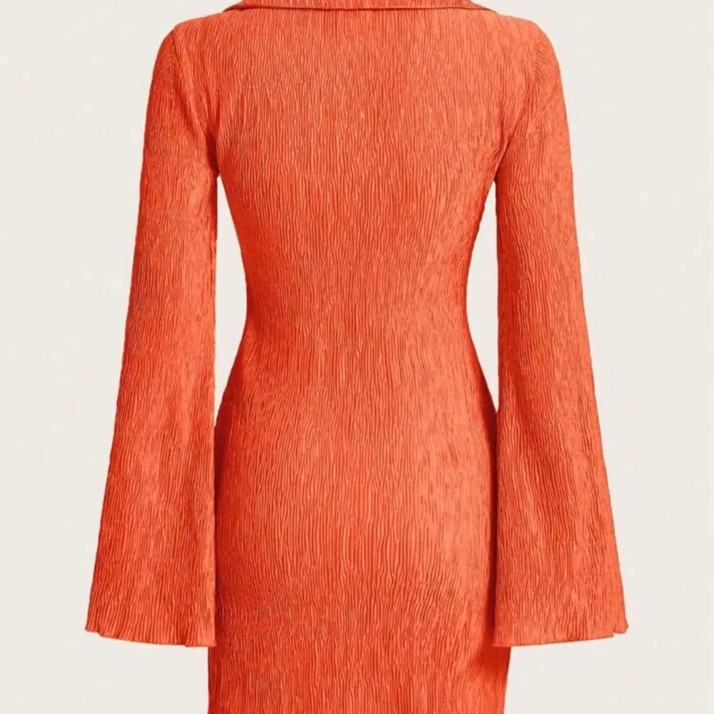 Orange Fringe Dress (X-Small) - Picture 2 of 7